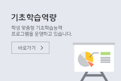 기초학습역량진단